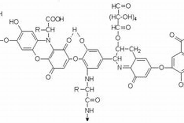 腐植酸化肥大于多少可以标