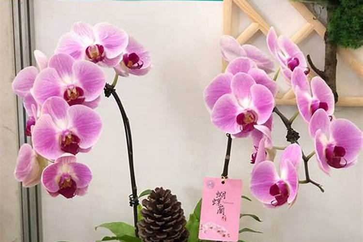 游泳池水处理步骤