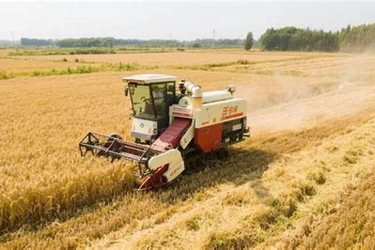 农用叶面肥木醋液有哪些