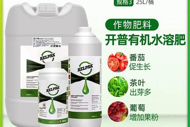 海藻肥料有什么特点？海藻肥料有什么功能？