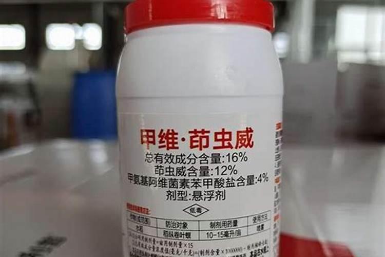 什么树能嫁接月季花