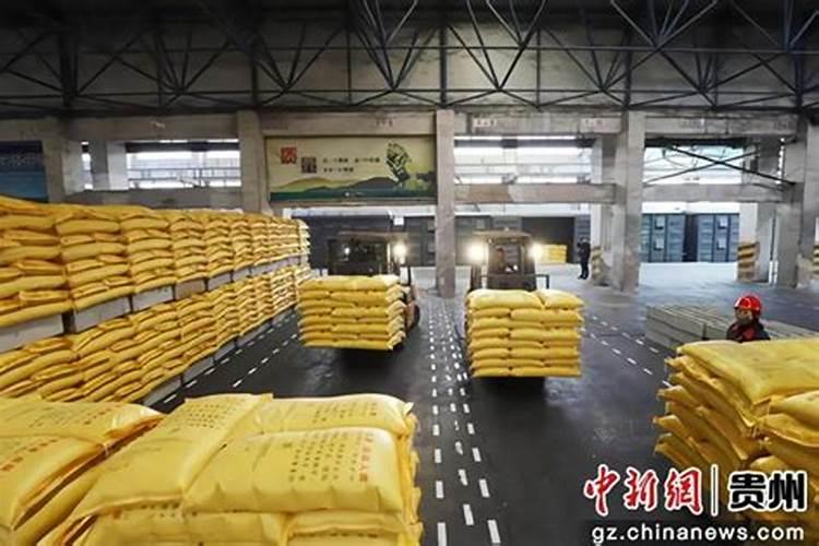养花用什么肥料好？该怎么样选择？