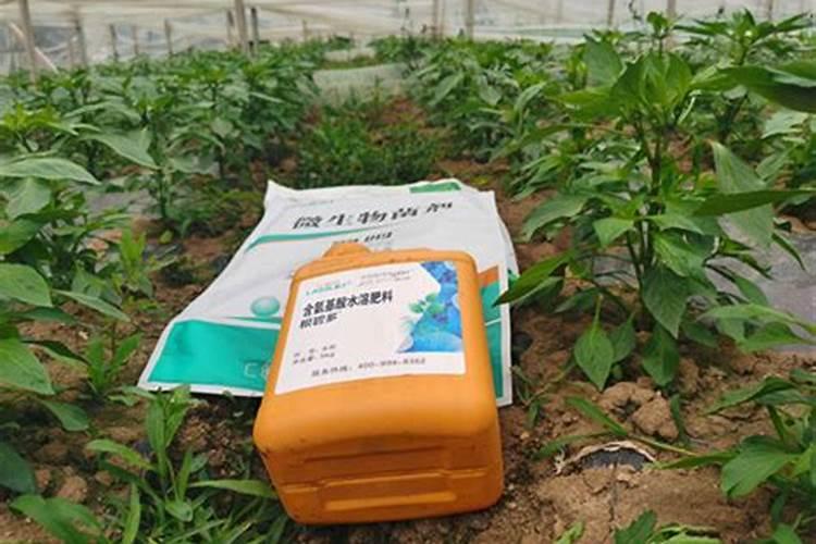 湖北吾尔利生物工程股份有限公司电话是多少？