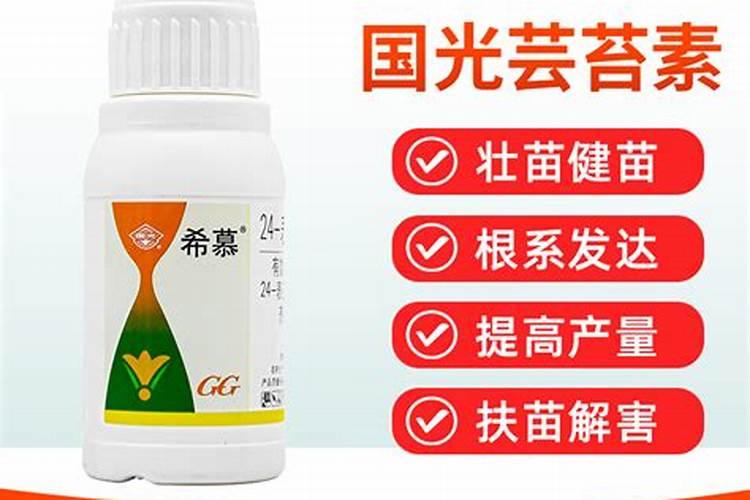 国内比较好水溶肥厂家有哪些