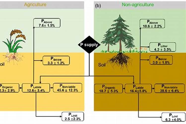 用红糖和鱼肠可以发酵肥料吗