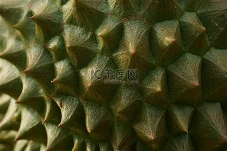 金正大肥料有几个品牌