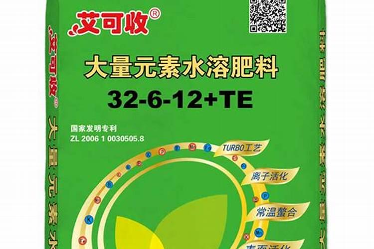 时出锦梅花为什么不出锦