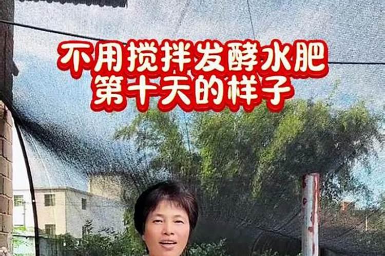 栀子花开花期间能不能用富磷有机肥 求助