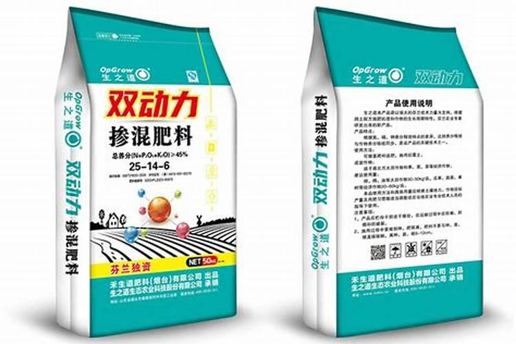 火龙果要种多少深？