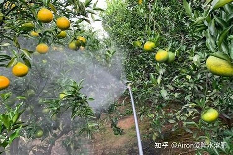 巧管家洗窗帘怎么样