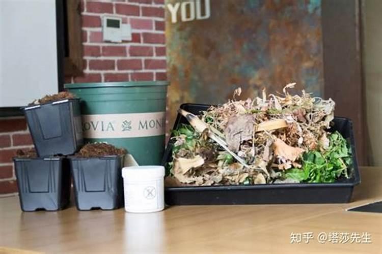 磷肥过量对柑橘的影响