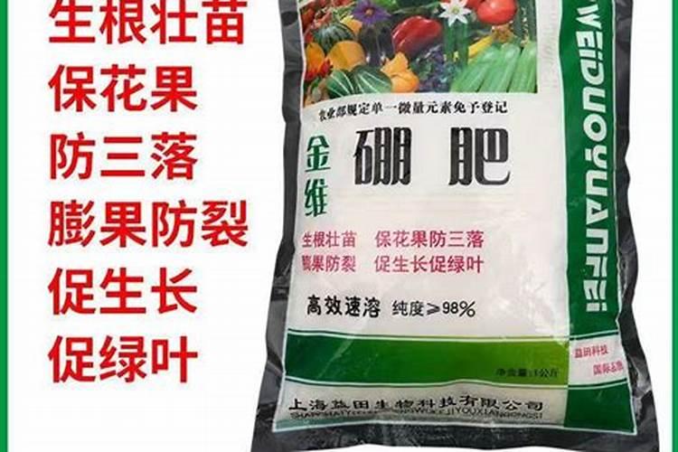 西瓜坐果硼肥灌根可以吗