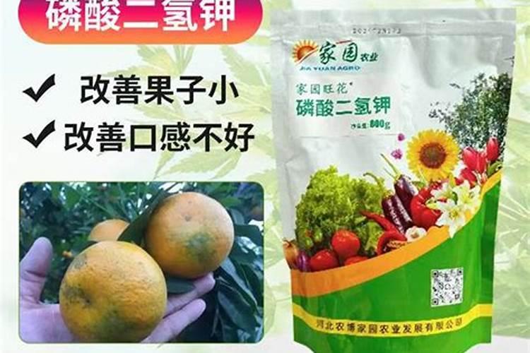 烟台冲施肥叶面肥哪家好