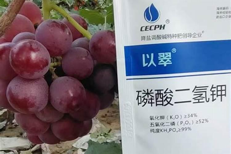 黄麦岭磷酸二铵对小麦做底肥有什么好处比复合肥哪个好