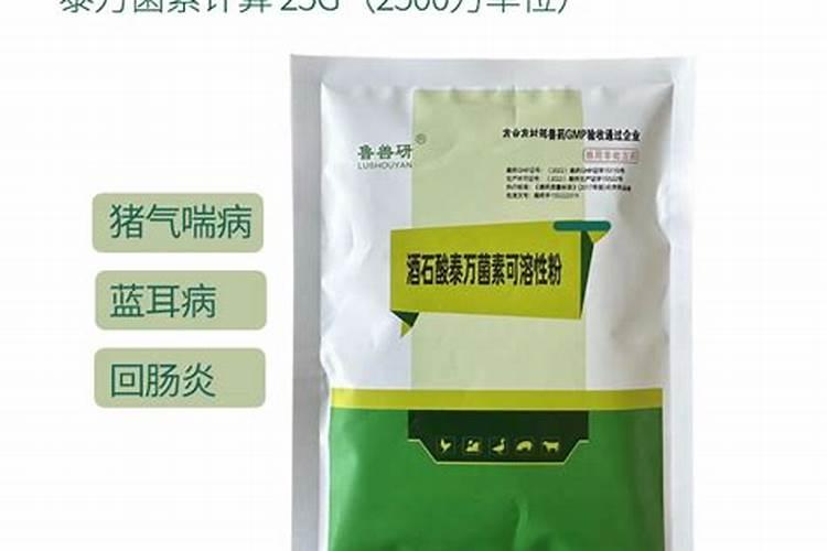 母猪产前可以加泰万菌素吗