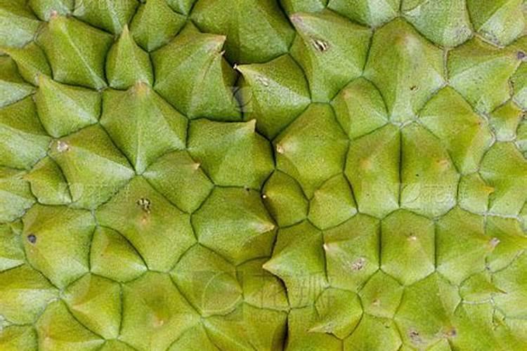 榴莲瓤有什么营养