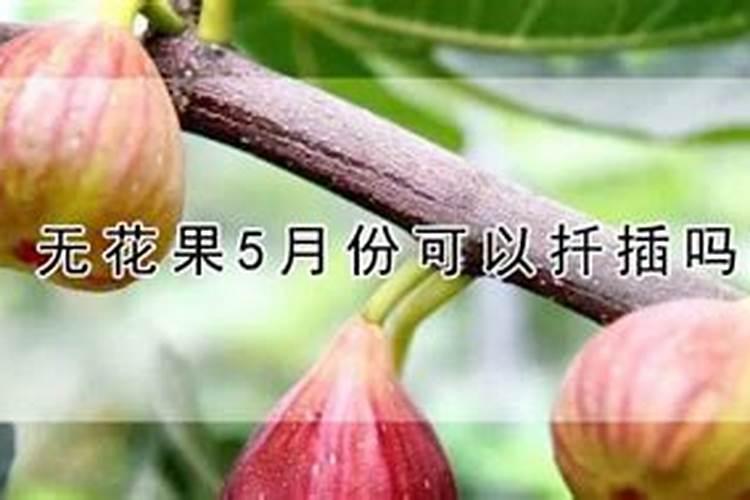 白磷肥对植物有没有危害？