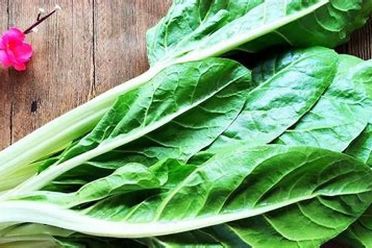 摘下的菜叶埋在盆栽植物里当肥料可以吗？