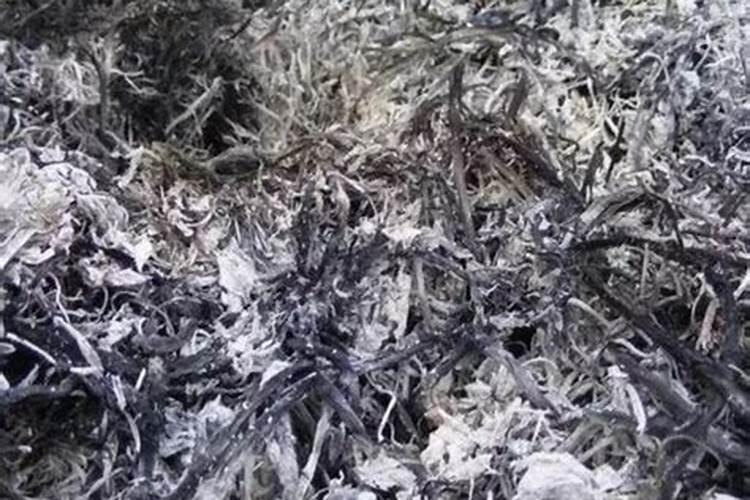 果树叶面肥用什么较好？