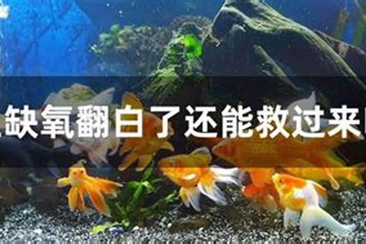 月季催芽方法