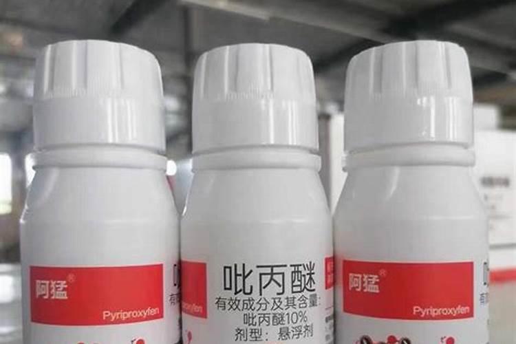 苍术的肥料管理与病虫害防治