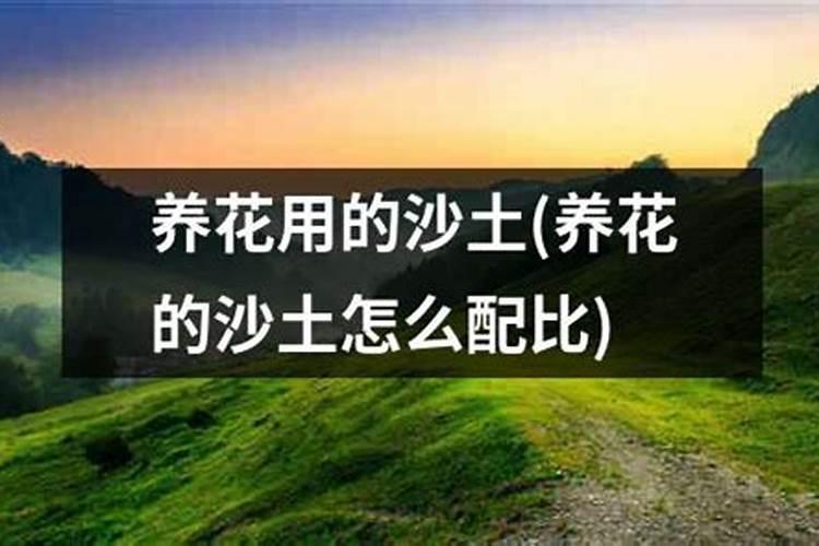 水溶肥到底怎么施用