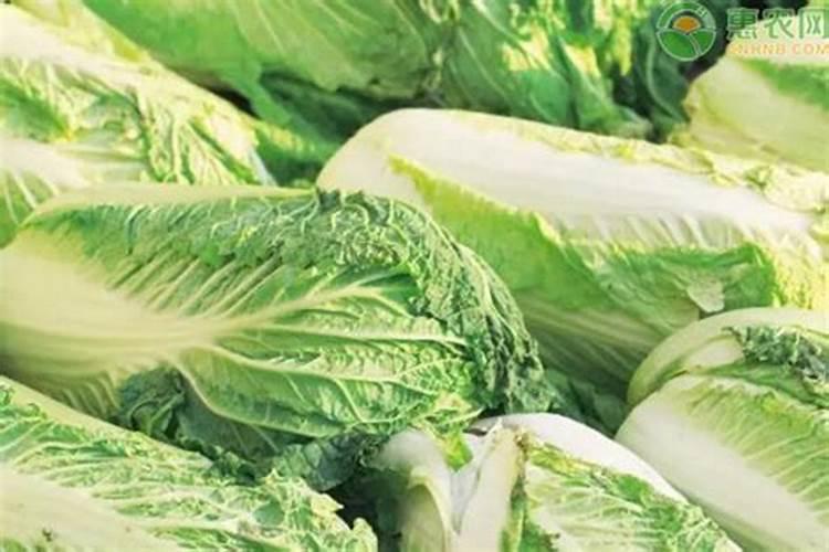 牛蒡还有些什么别名？药店有卖吗？雅安哪里可以买到？