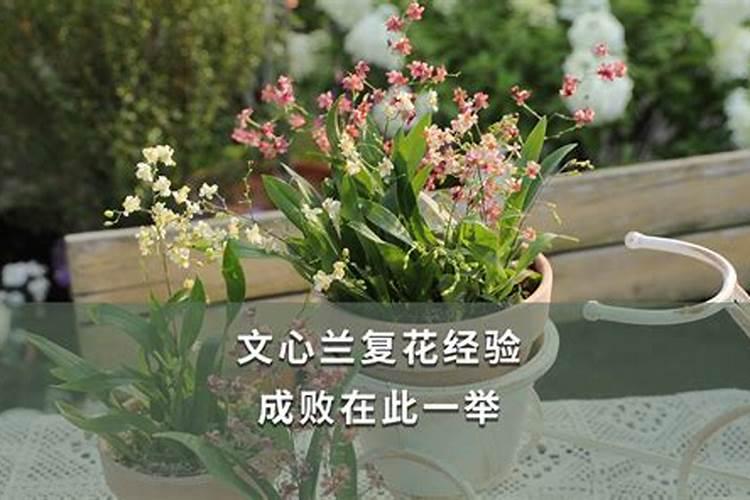 水溶肥价格多少钱一吨 如何选购优质的水溶肥料