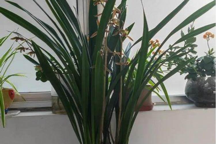 广州一翔一翔业务