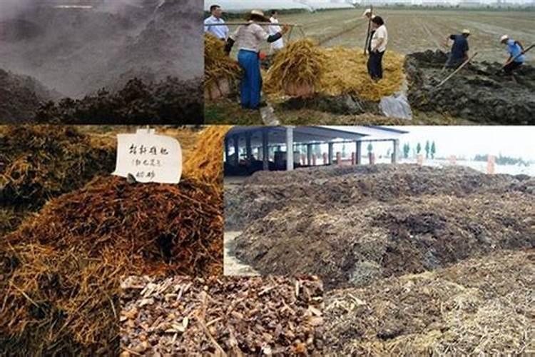 粪便当有机肥的好处与坏处