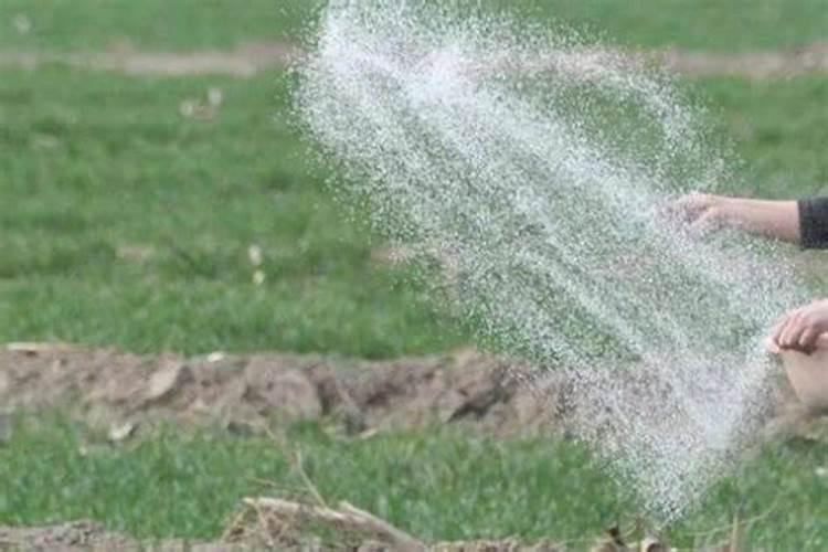 锌肥的作用及使用方法有哪些？