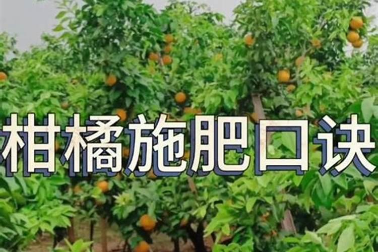 海澡鱼蛋白叶面肥成分