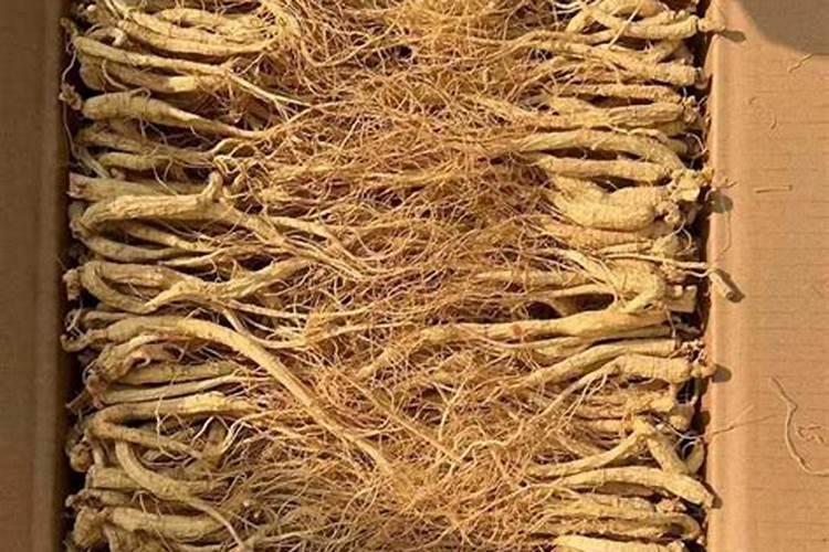 西洋参专用肥,什么时间施肥好？施肥时间和方法,西洋参叶面肥用“昆仑风...