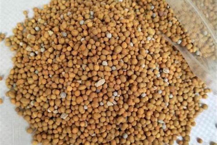花卉叶面肥用什么好 花卉叶面肥浓度多少合适