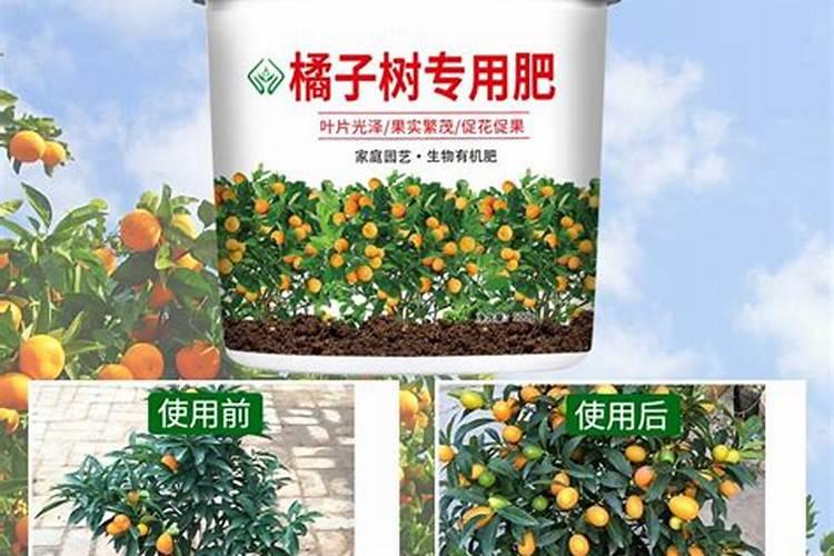 豆角能喷芸苔素内酯吗