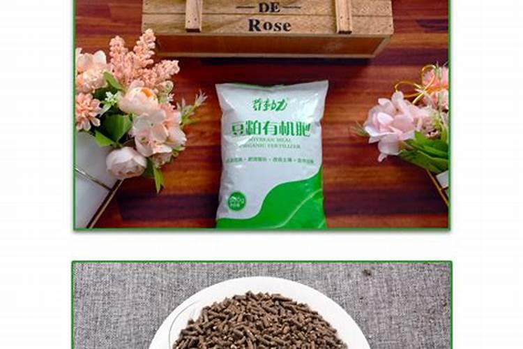 桂花用豆粕肥还是羊粪肥好