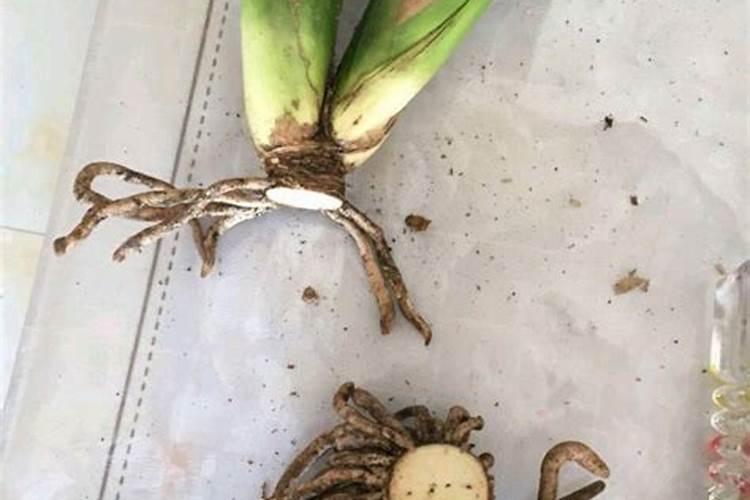 中国肥料企业名单