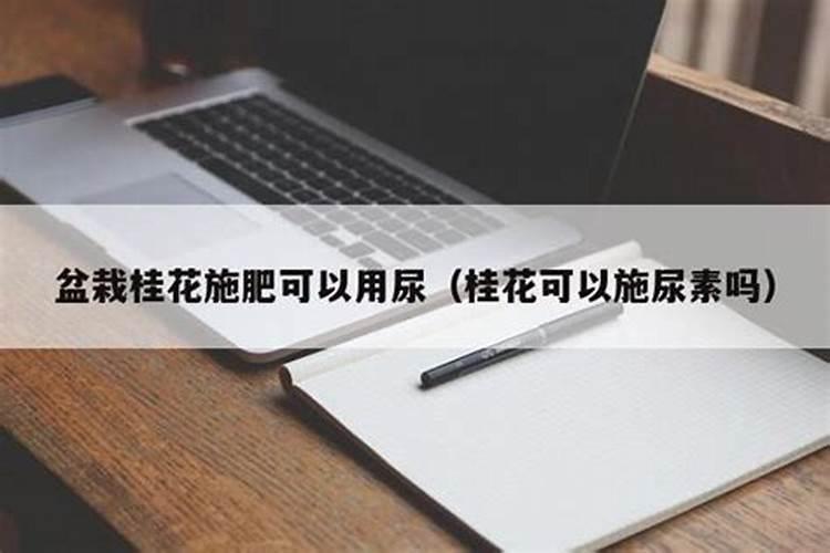 美国山核桃种植技术和管理经验
