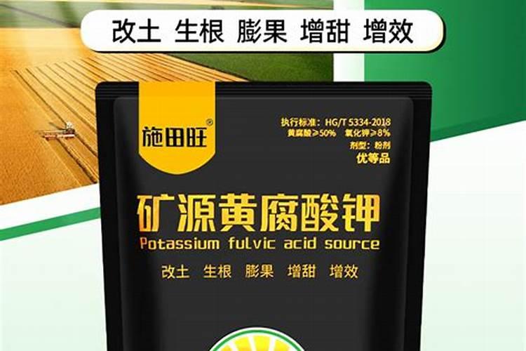 芸豆喷施什么药能增强抗病能力