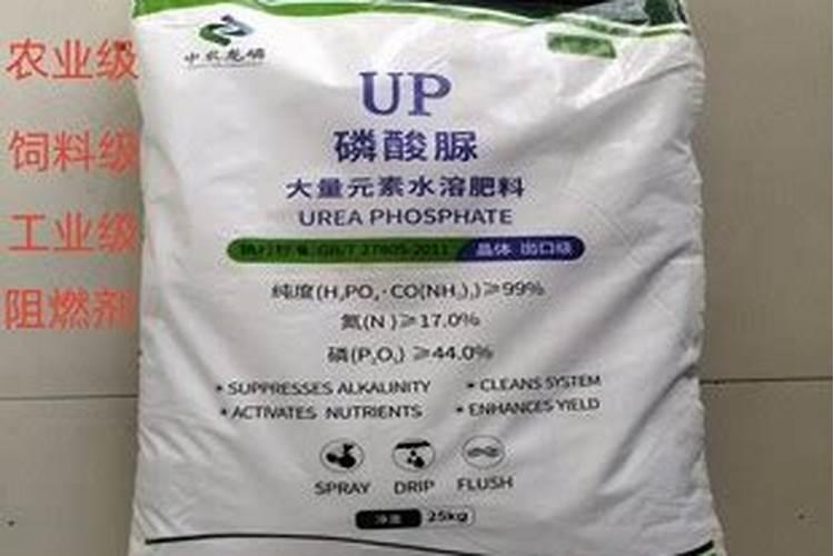 磷肥在蔬菜中的作用