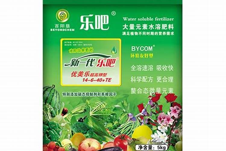 双棒玉米品种有哪些