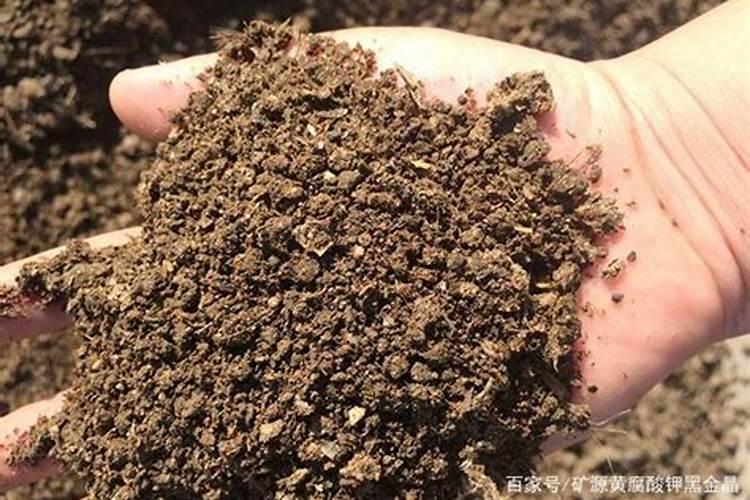 矿源黄腐酸钾对草莓的用量？草莓移栽后用矿源的作用