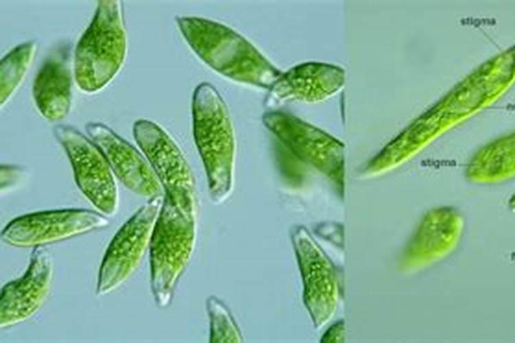 水基灭火器可以扑救酸性火灾吗