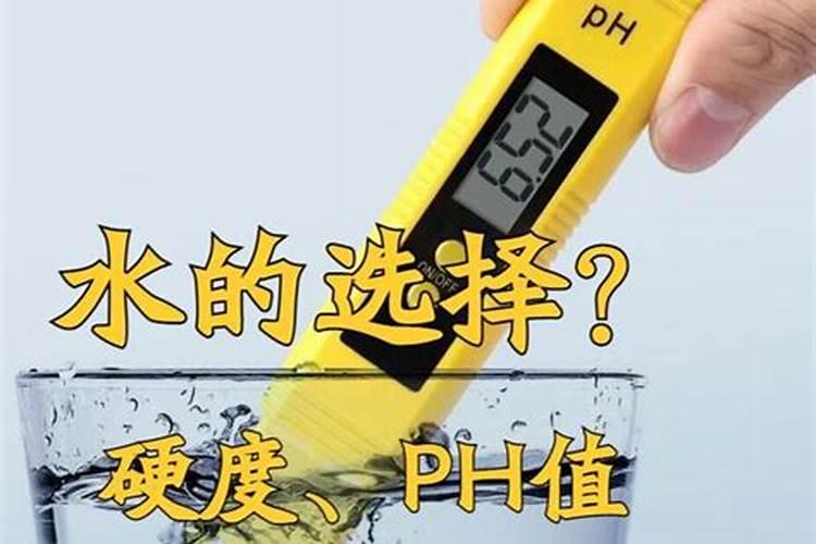 鸡心黄皮保花保果技术