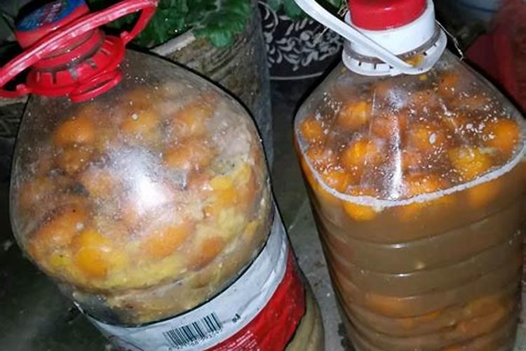 发酵水果皮属于氮肥吗 发酵水果皮适合浇什么花
