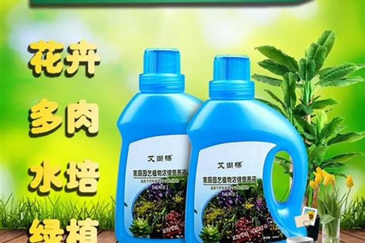 养花买什么肥料最好、绿植用营养液好还是肥料好