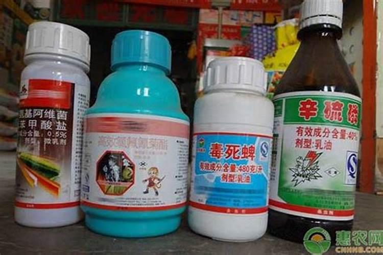 飘香藤施什么肥花开的旺盛