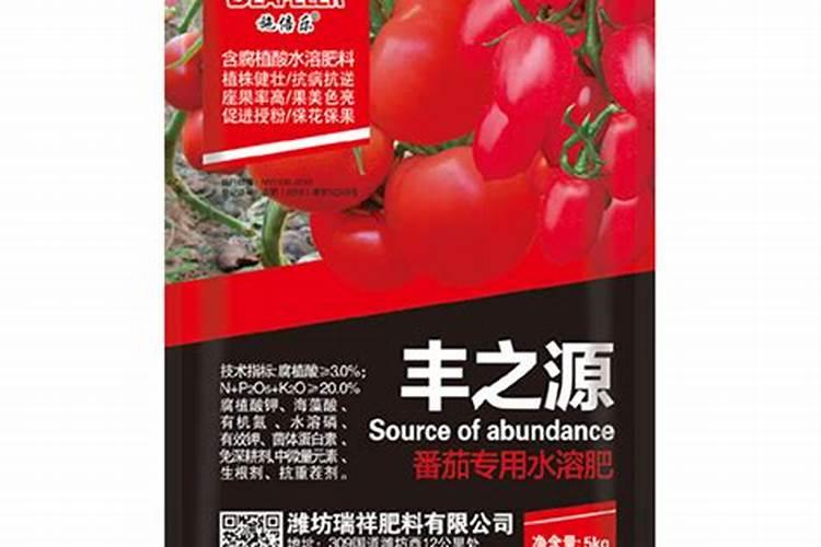 番茄怎么施肥才能高产