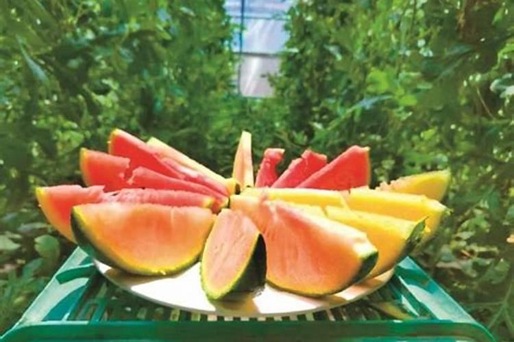 有哪些方法可以改善,葡萄入口甜度差的问题呢？