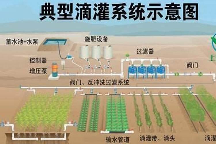 陈章德个人履历